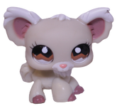 #1199 Chihuahua